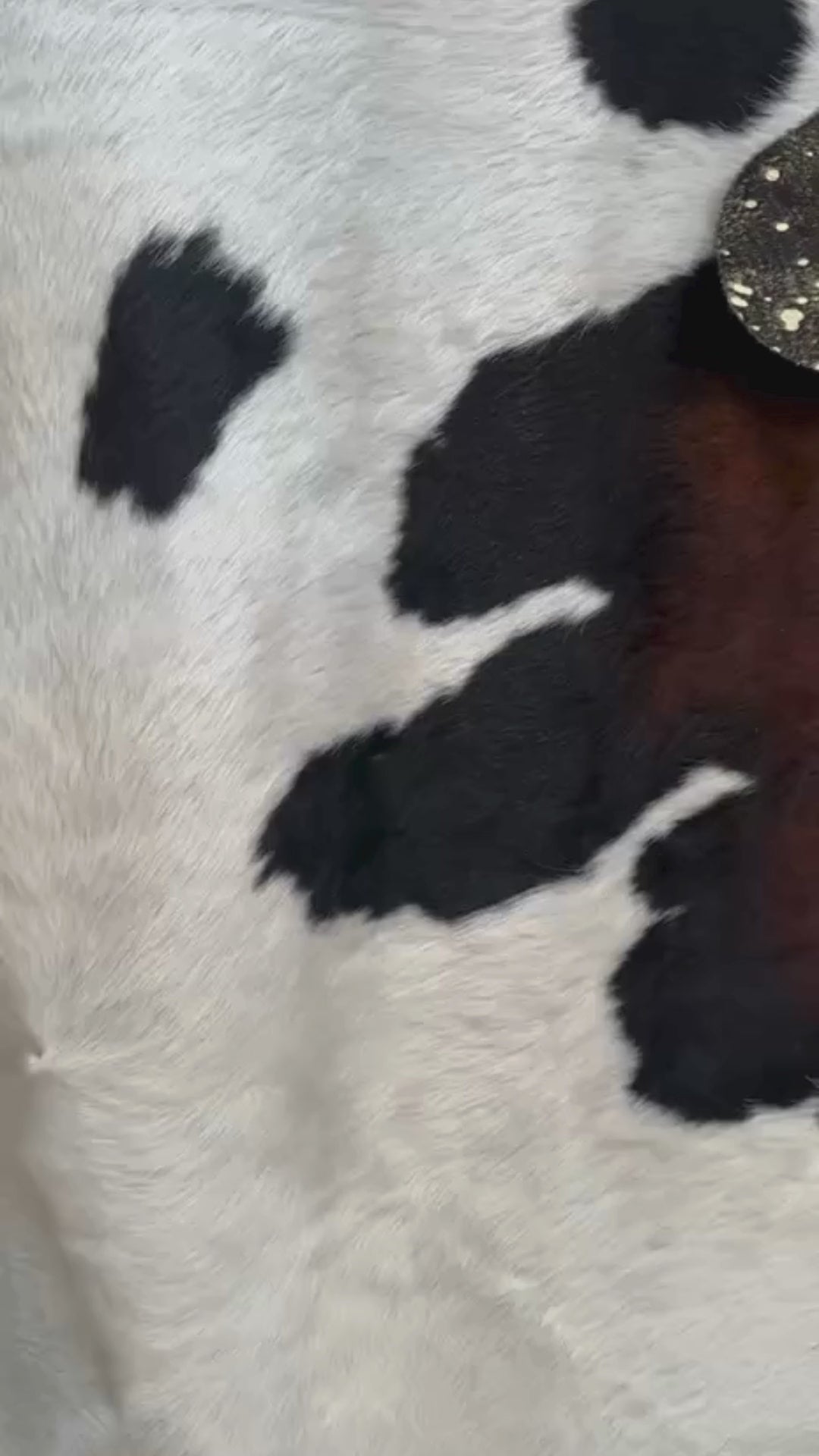 TAPETE - BLACK AND WHITE REAL COWHIDE