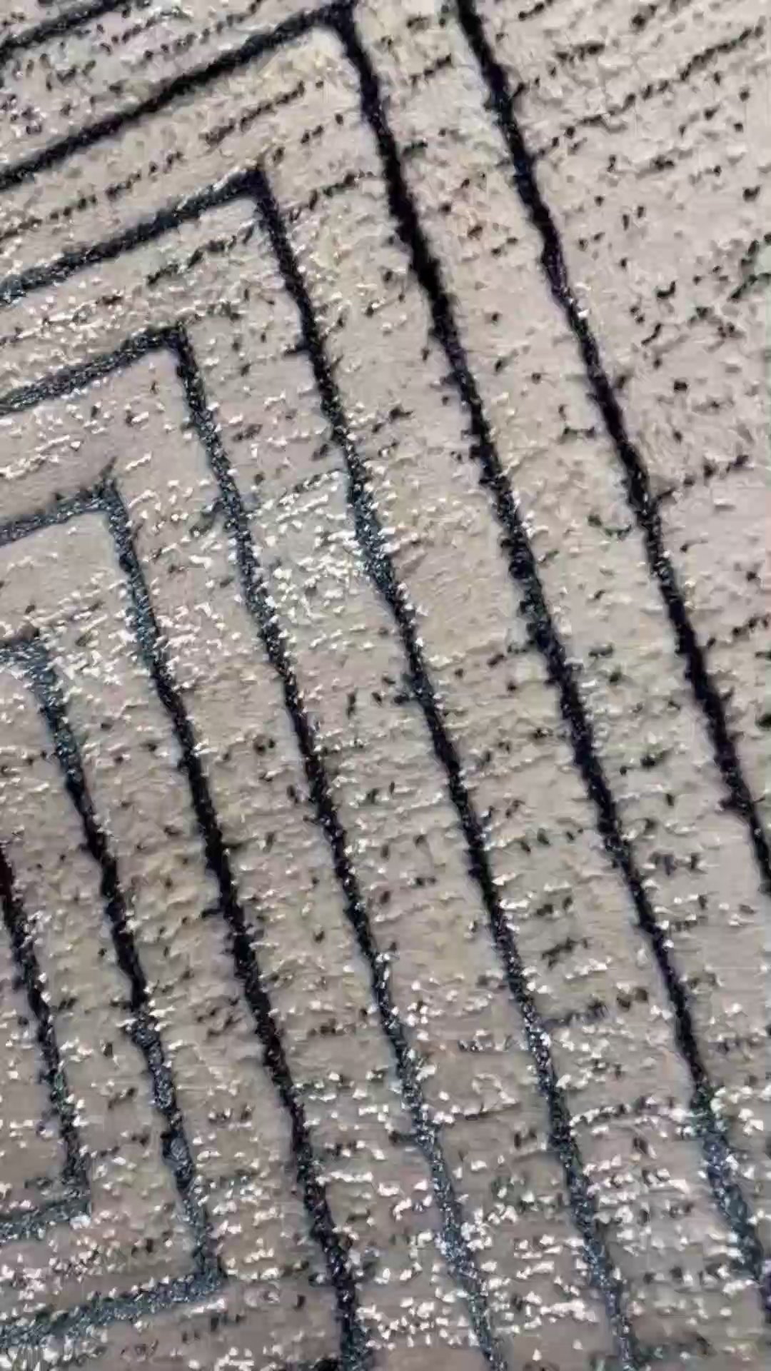 De nuestra colección POLAR: Este tapete color gris semenjante a piel de serpiente, elaborado con hilo de poliéster brillante de alta calidad, aporta suavidad, estilo y un sutil brillo que realza cualquier espacio. Su diseño contemporáneo y textura confortable lo convierten en una pieza funcional y decorativa para el hogar.

Características:

Tejido a máquina.
Hilo de poliéster brillante de alta calidad.
Textura suave al tacto.
Reverso de algodón para mayor resistencia y durabilidad.
Diseño plegable para fác